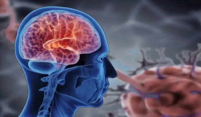 Molekül zur Behandlung neurodegenerativer Erkrankungen